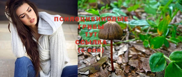 гашишное масло Богородицк