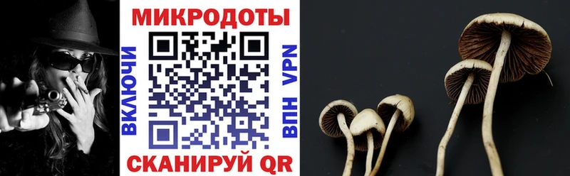 kraken ССЫЛКА  дарнет шоп  Дорогобуж  Галлюциногенные грибы прущие грибы 